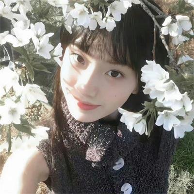 秋月春花